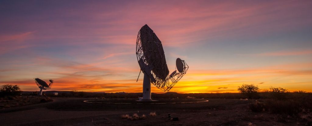 The South African MeerKAT radio telescope